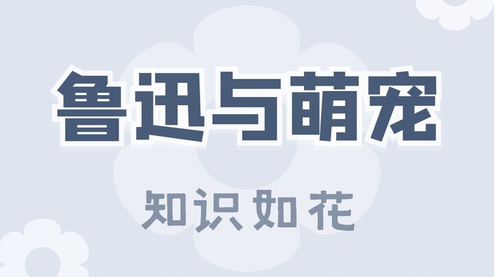 Xungge: My tastes are a bit niche…