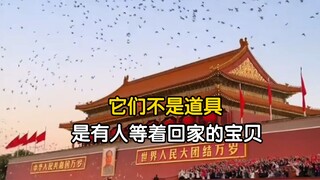 Pigeons flew over red flags and balloons lit up the sky. I was moved and happy watching them. [Peace