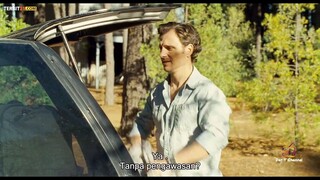 The Last House on the Left (2009)