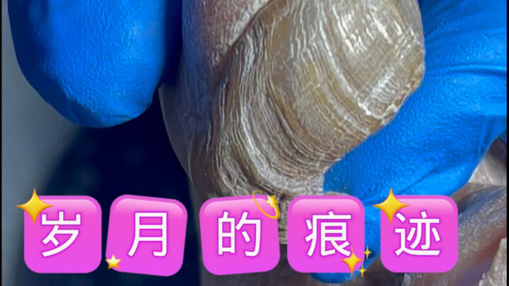 岁月的痕迹得多久能这样