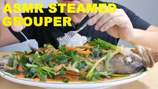 ASMR Eating Steamed Grouper (ASMR Korea Hongkong USA UK Indonesia Malaysia Thailand Philippines)