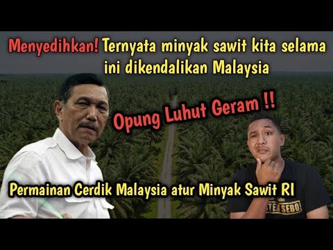 Kog Minyak Sawit Indonesia di atur atur Malaysia? Gak jelas banget!