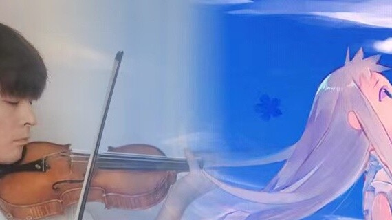 The most tear-jerking violin on the site! I burst into tears after listening to "Unknown Flower Name