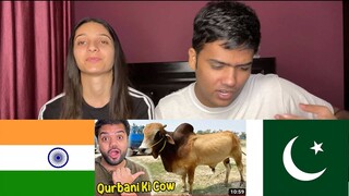 #duckybhai vlog reaction | Qurbani Ke Liye Cow Le Li 🐂😍 | Mandi Se Kitne Ka Liya ? 😱