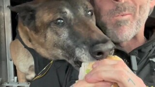 الشرطة الأمريكية لا تشمئز من لعاب كلاب الشرطة