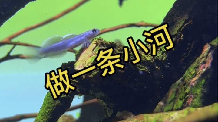 新怪物来了~在家做一条小河