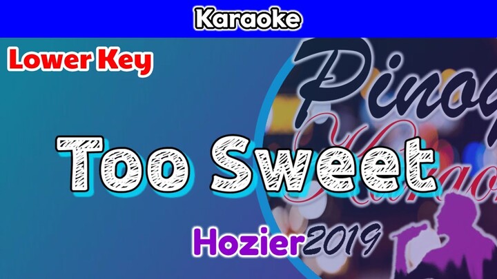 Too Sweet by Hozier (Karaoke : Lower Key)