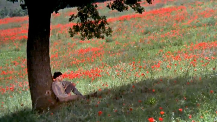 "Waiting in winter for the visual poem of spring"