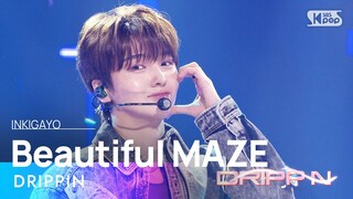 DRIPPIN (드리핀) - Beautiful MAZE @인기가요 inkigayo 20240407