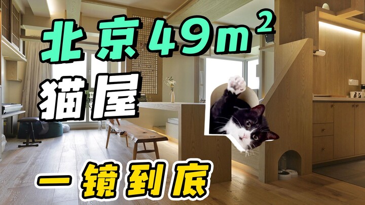 ปักกิ่ง 49 ตร.ม. “วังแมว” ชีวิตเดี่ยวแสนสุขของคนหนึ่งกับแมวสองตัว! | ถ่ายทีเดียวจบ (แนวตั้ง)