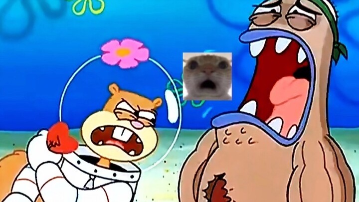 ฉันแข็งแกร่งแค่ไหน? ซื่อซื่อ?