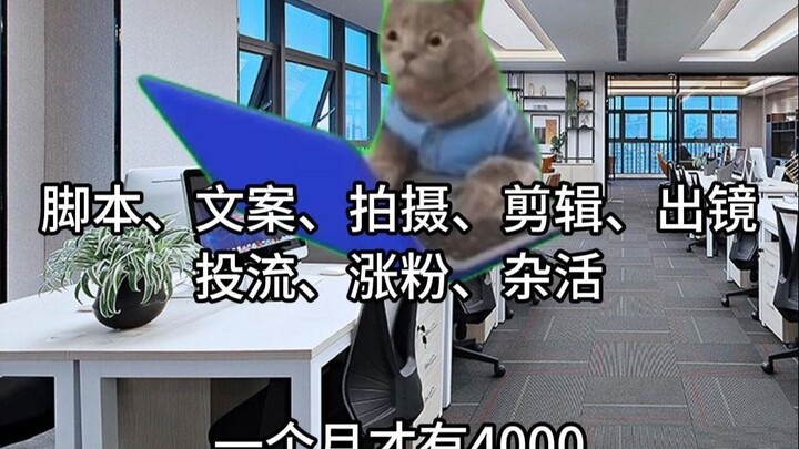 What do you mean it's only 4,000 yuan?