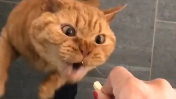 Cape deh, tinggal satu detik lagi aku udah kelaparan!