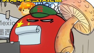【Polandball】Jika Tiongkok dan Amerika Serikat bertukar wilayah, bagaimana provinsi dan kota akan dib