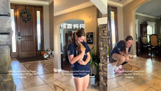 When you finally wait for the dog of your dreams 🥺