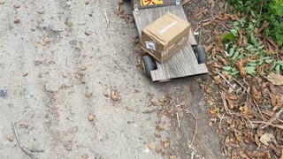 What a talent—letting a cat drive a semi-truck to pick up packages!