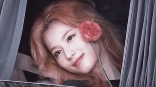 Câu nói này của sana thật tuyệt!