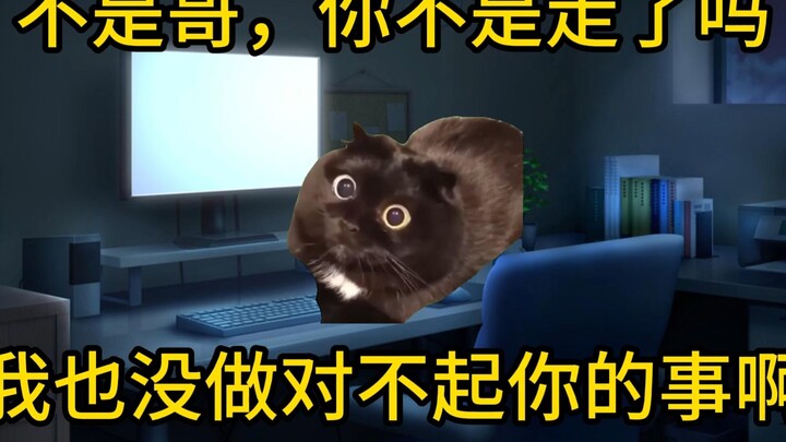 【猫meme】我的高中同学跳楼后出现在我的QQ空间