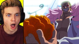 ACE'S DEVIL FRUIT RETURNS!! (one piece reaction)