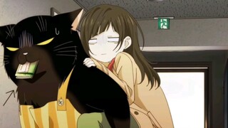 "After learning that the female protagonist had eaten cat grass by mistake, the big cat rushed her t