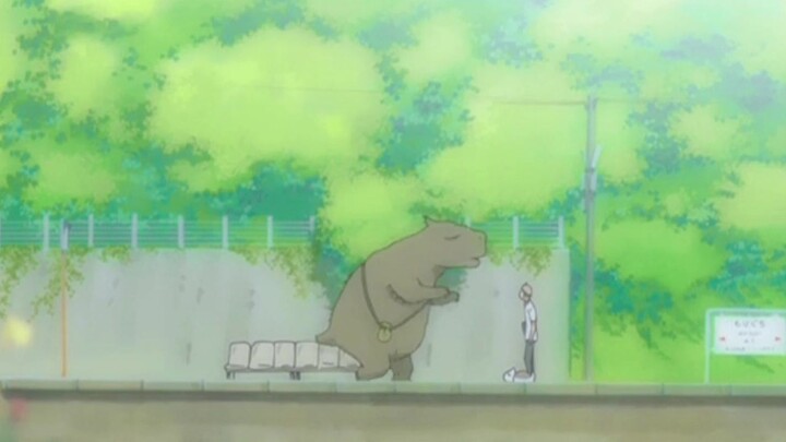 Another blind bear who can tell summer's beauty by smelling the scent, Erhuhu