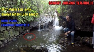 Mancing Di Spot Tak Terjamah Orang Sama Sekali || IKANYA MASIH SANGAT LUGU!!!