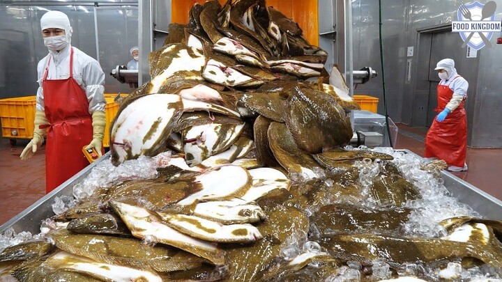 [Pabrik ajaib yang bisa memotong seekor ikan dalam 15 detik]