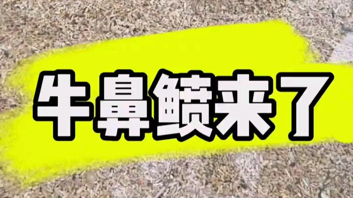 A major biological discovery is here!