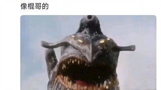 发一下目前确定会出现在亚刻剧中的怪兽