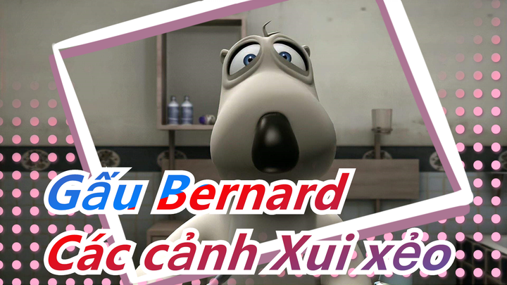Gấu Bernard -Các cảnh Xui xẻo