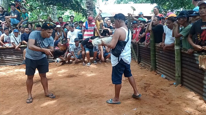 happy 66th araw ng barangay Quezon First Fight loss whitey bawi sunod