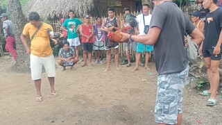 Bulod (Lose) vs Mancao
