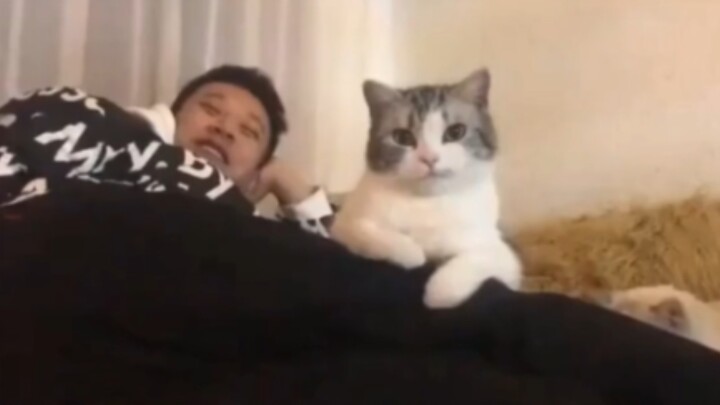 แมว:ผู้หญิงแพ้ฉันเยอะมาก