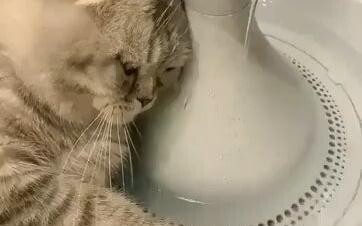 ถึงไดอารี่ ฉันอยากจะบอกคุณว่าวันนี้เศร้าแค่ไหน