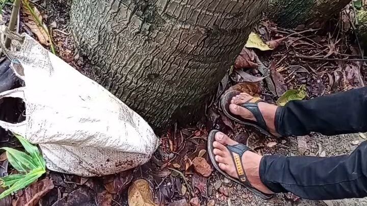 🚨 বামনায় ব্যাগে ভরা নবজাতক শিশু উদ্ধারবামনা ফায়ার সার্ভিসের সামনে সোনাখালী এলাকায় একটি ব্যাগের ভ