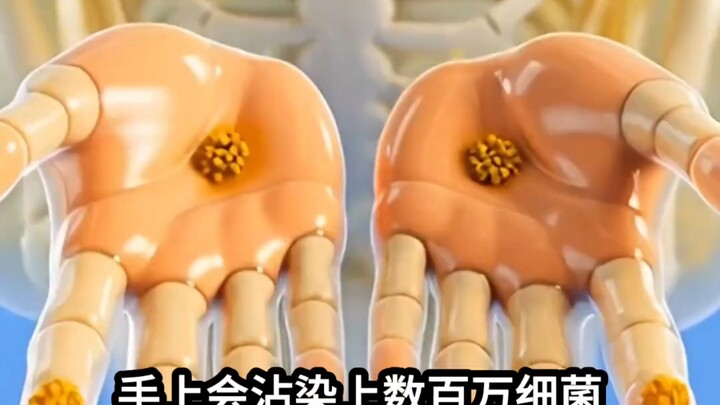 What would happen if you never washed your hands for the rest of your life?