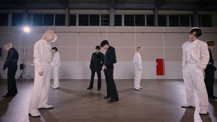 【Stray Kids】 "Do It" Dance Practice Video (Black Swan Ver.)