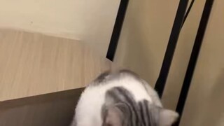 she is dokki and she is so pretty