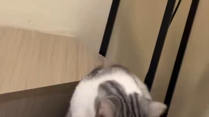 she is dokki and she is so pretty