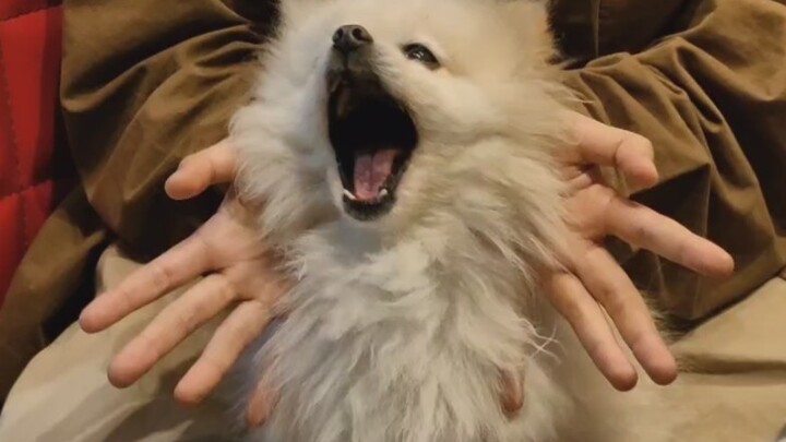 ฮ่าๆๆ ดูจนจบเลย