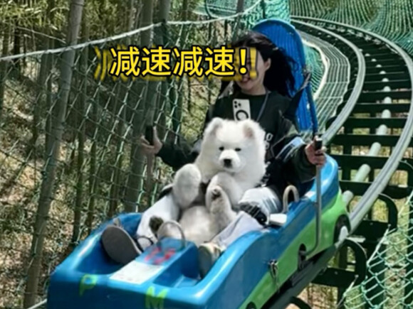 Masih ada yang belum pernah ke taman bermain anak anjing!