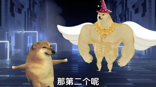 如果是你，你如何选择
