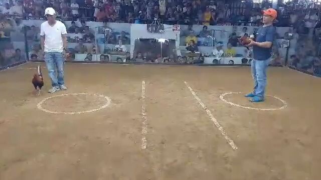 nka Chamba nanaman kami