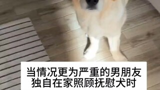 烹食是你的谎言