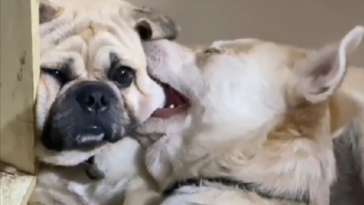 Having you is my "blessing"