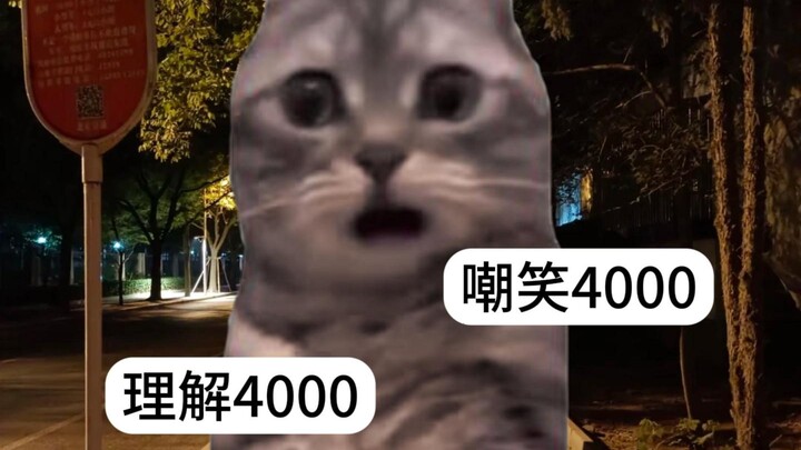 Thế nào là chỉ 4.000 tệ thôi?