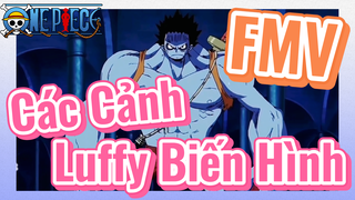 [Đảo Hải Tặc] FMV | Các Cảnh Luffy Biến Hình