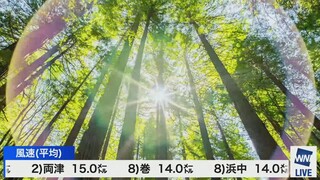 Weather News LIVE News Report (WEATHER NEWS LIVE/YouTube Live/2024.05.17)