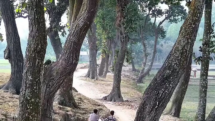 উত্তরবঙ্গ ❤️‍🩹❤️‍🩹