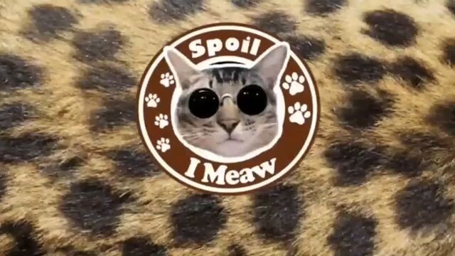 เหมันต์ใต้เงาจันทร์ สปอย